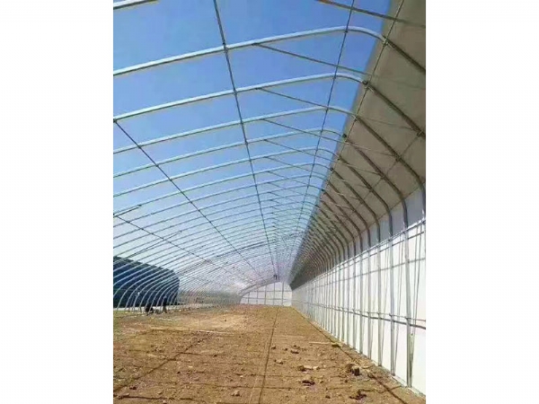 日光温室