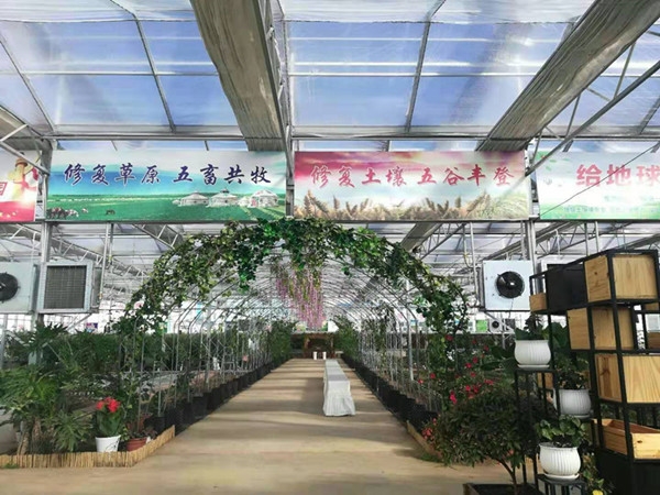 内蒙乌兰浩特玻璃温室投入使用